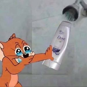 Meet your Posher, Alexander